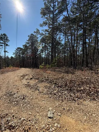 $18,500 | 10066 Fish Hook Road, Potosi, MO 63664