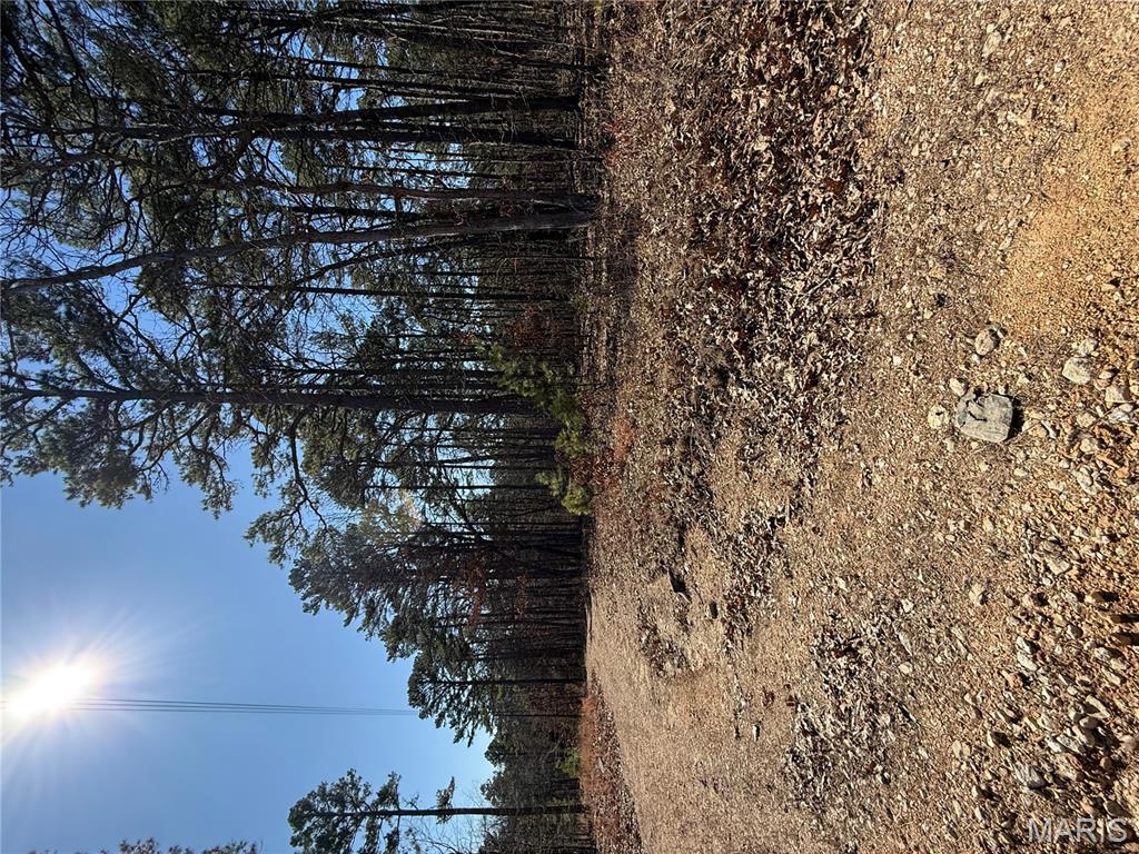 10066 Fish Hook Road Potosi, MO 63664 - Photo 6 of 12