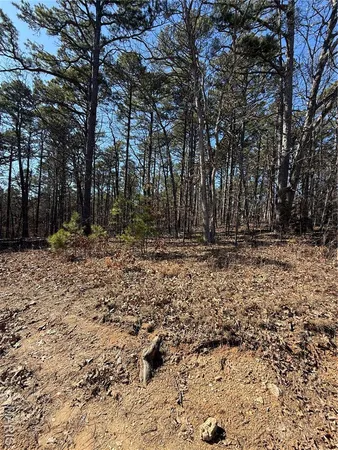 $18,500 | 10066 Fish Hook Road, Potosi, MO 63664