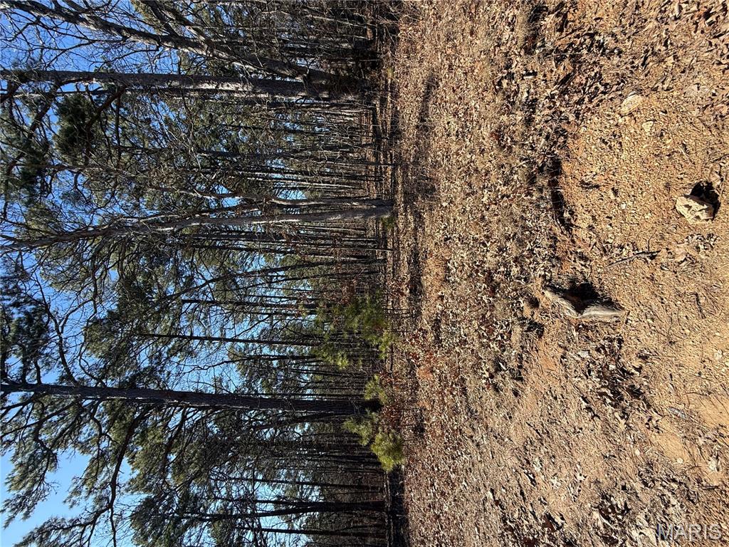 10066 Fish Hook Road Potosi, MO 63664 - Photo 7 of 12