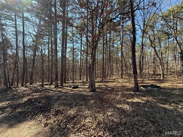 $18,500 | 10066 Fish Hook Road, Potosi, MO 63664