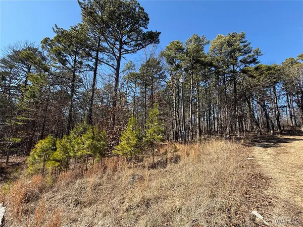 $18,500 | 10066 Fish Hook Road, Potosi, MO 63664