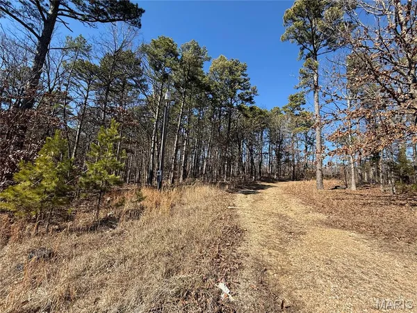 $18,500 | 10066 Fish Hook Road, Potosi, MO 63664