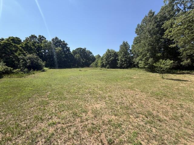 1707 North Greenville Road Stanton, MI 48888 - Photo 8 of 8 image