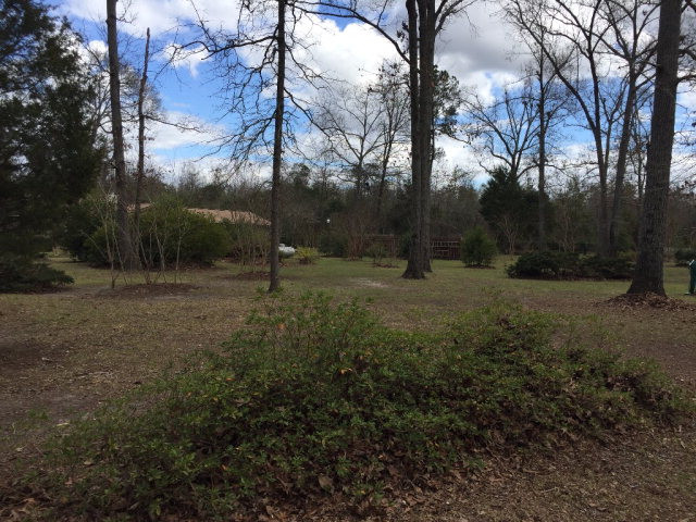 4786 Deans Bridge Road Blythe, GA 30805 - Photo 13 of 18