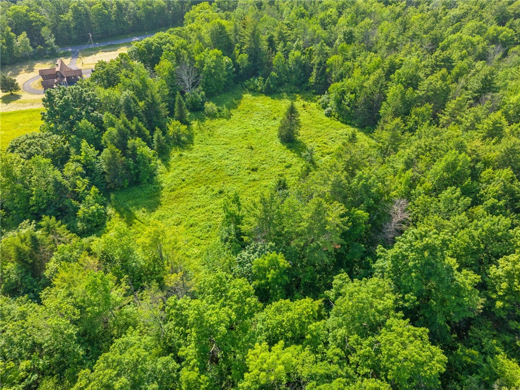 Guinea Road Middleburgh, NY 12122 - Photo 1 of 10