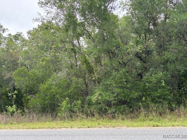 93 North Croft Avenue Inverness, FL 34453 - Photo 5 of 8