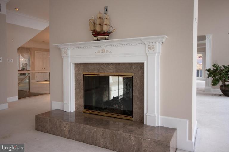 740 South River Landing Road, Unit 740 Edgewater, MD 21037 - Photo 17 of 30 Fireplace