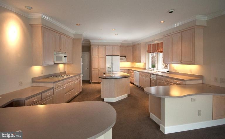 740 South River Landing Road, Unit 740 Edgewater, MD 21037 - Photo 5 of 30 Kitchen