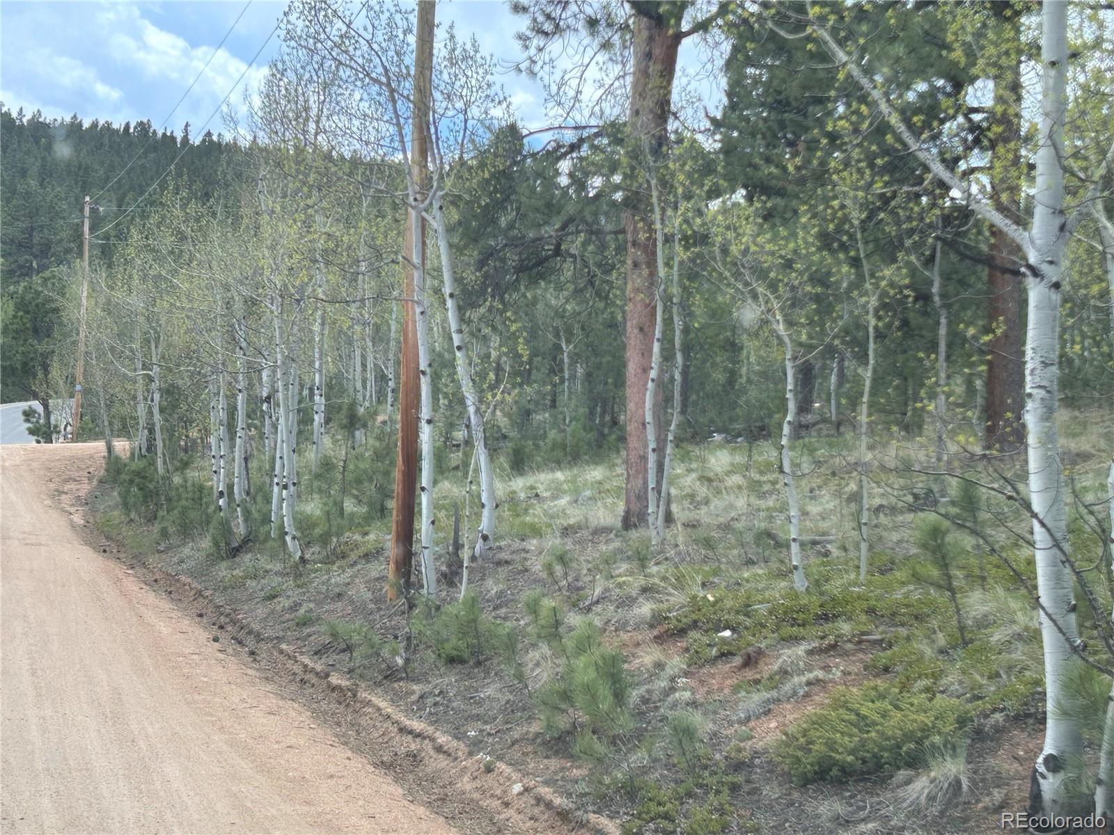 139 O'Brien Road Bailey, CO 80421 - Photo 1 of 10