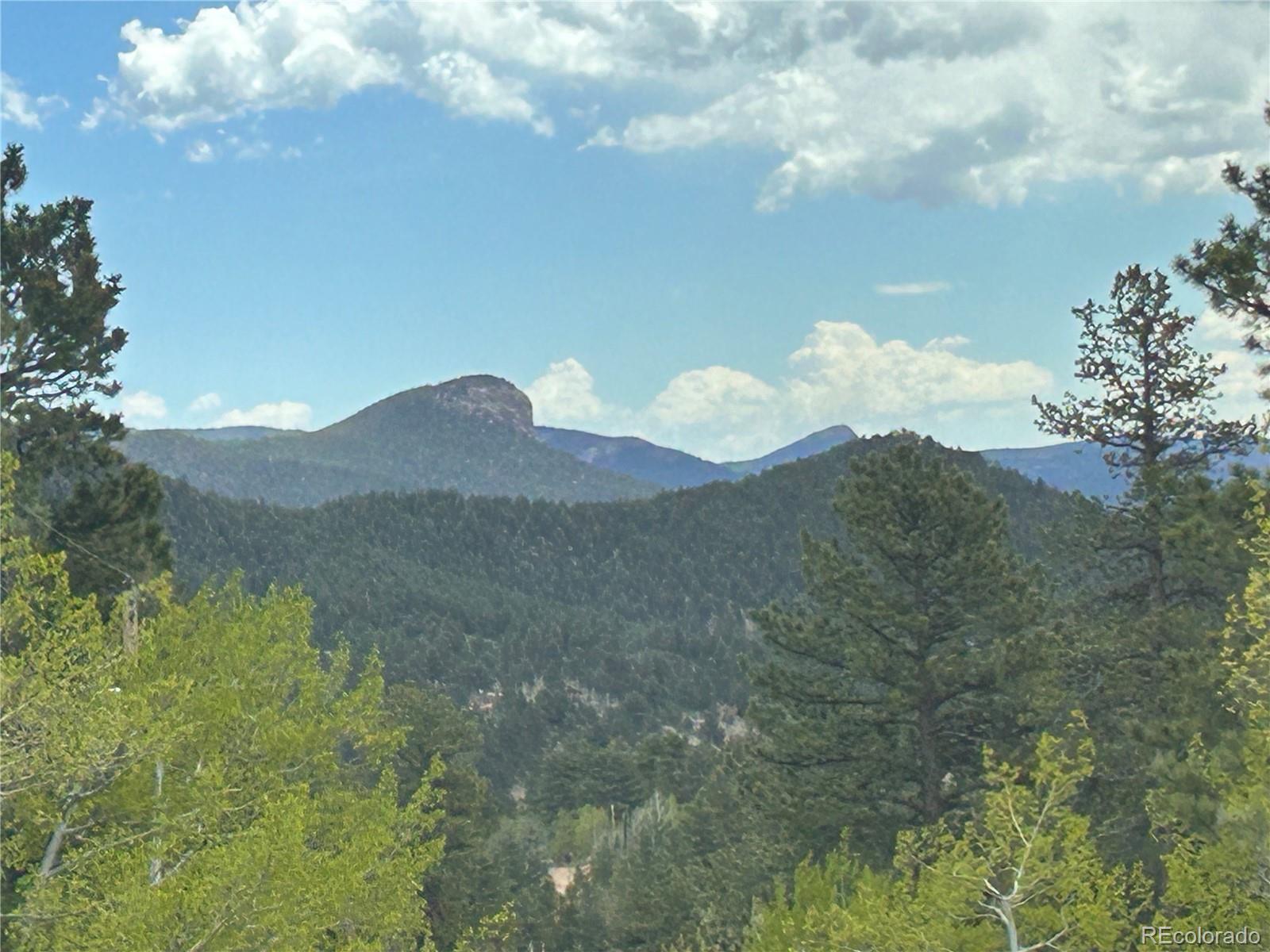 139 O'Brien Road Bailey, CO 80421 - Photo 4 of 10
