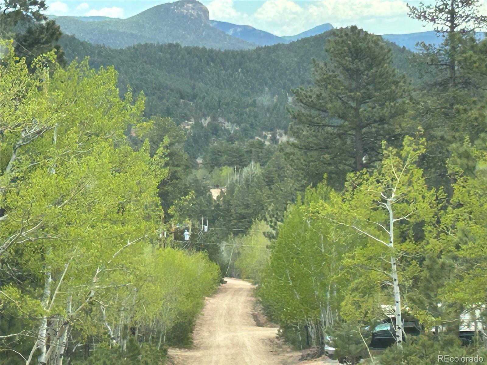 139 O'Brien Road Bailey, CO 80421 - Photo 5 of 10