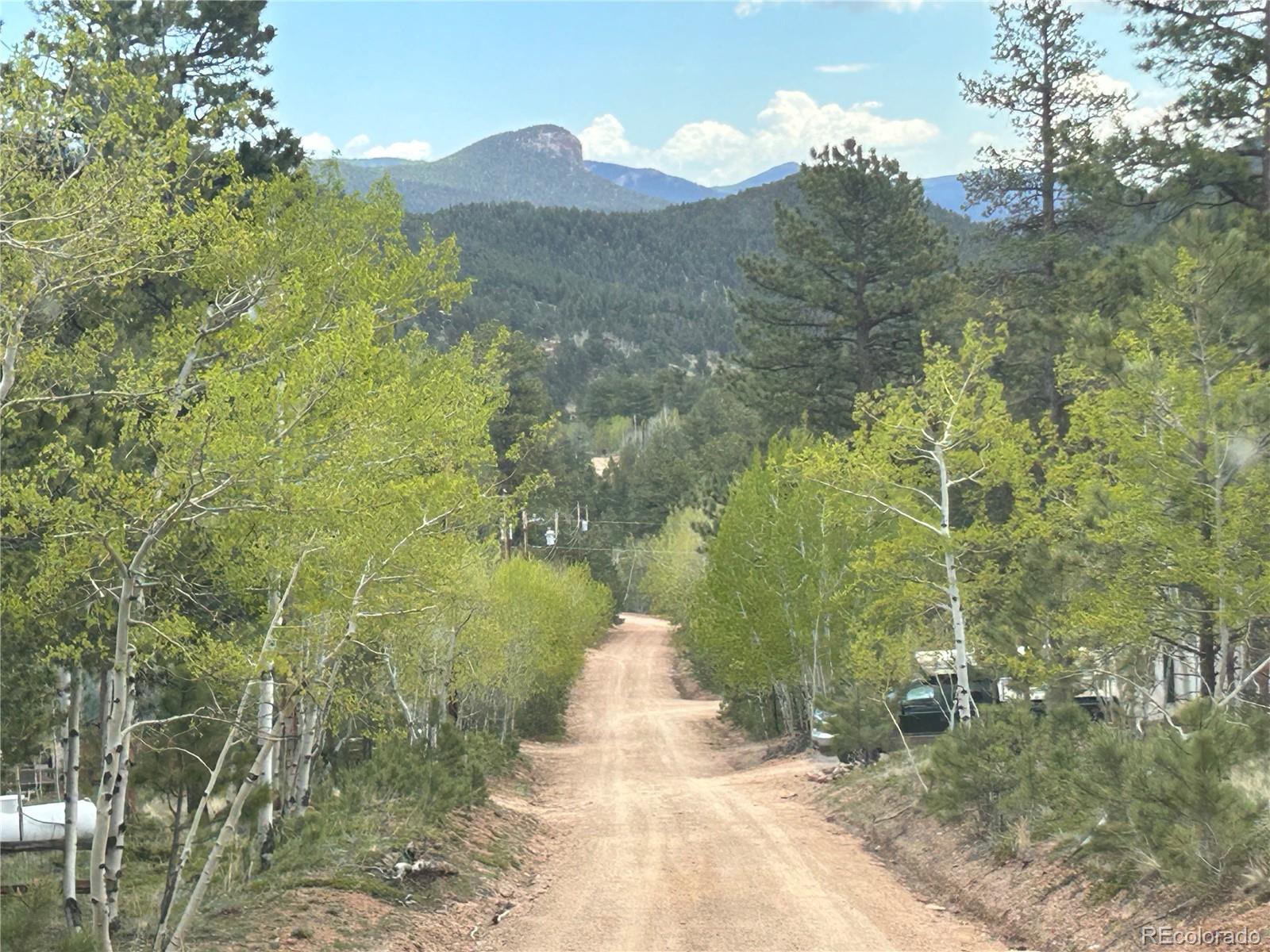 139 O'Brien Road Bailey, CO 80421 - Photo 6 of 10