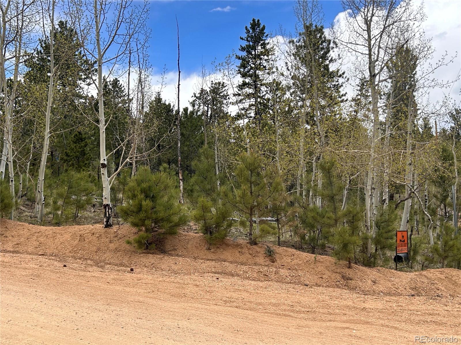 139 O'Brien Road Bailey, CO 80421 - Photo 8 of 10