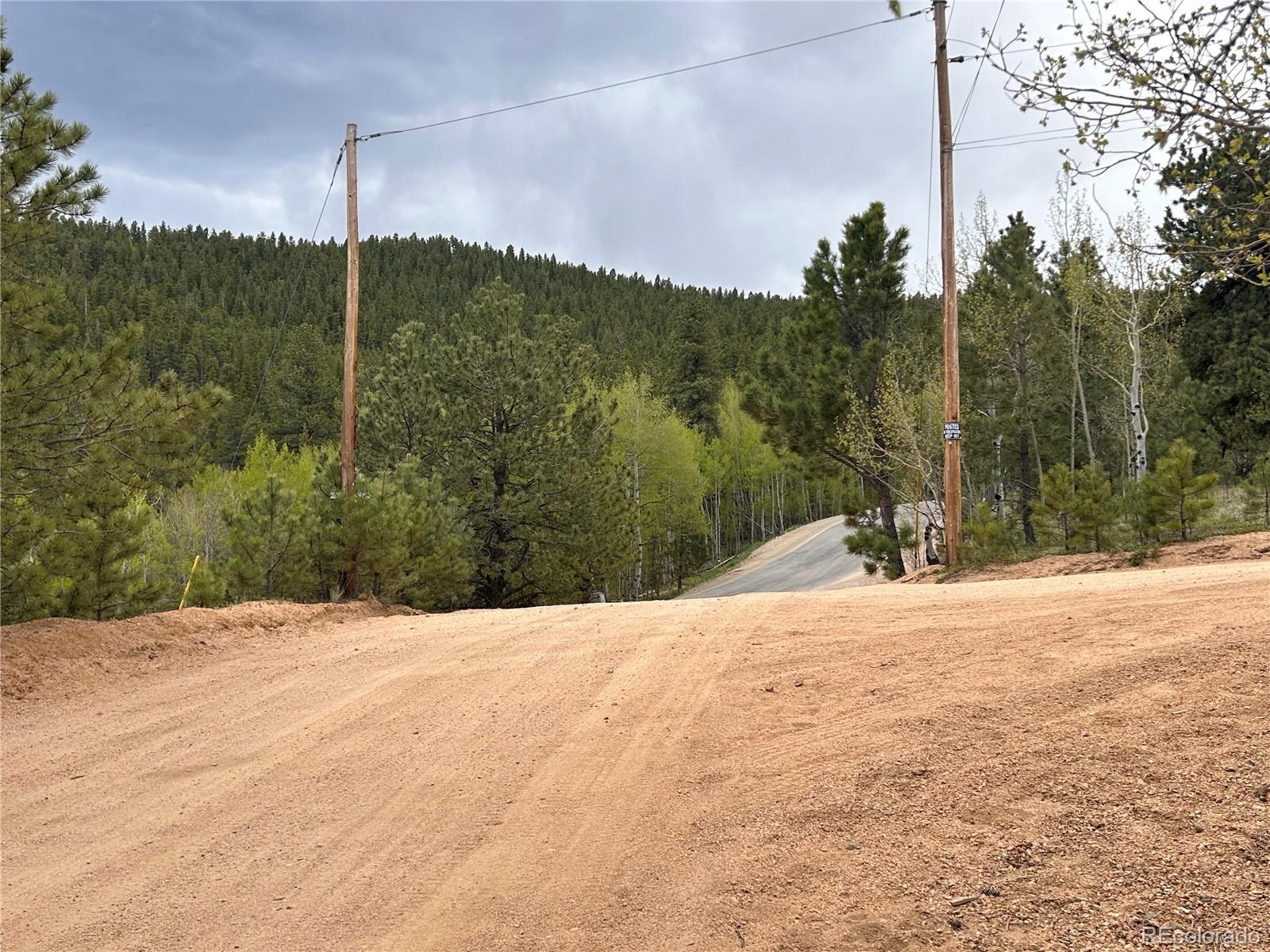 139 O'Brien Road Bailey, CO 80421 - Photo 10 of 10