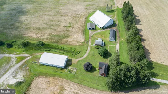 a huge green field with lots of trees