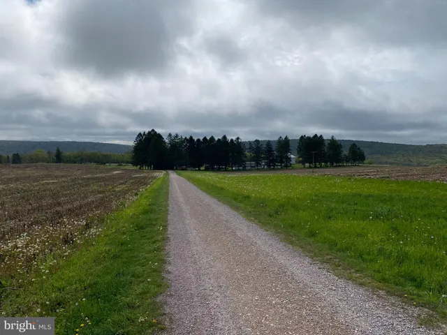 a view of yard with swimming pool and green space