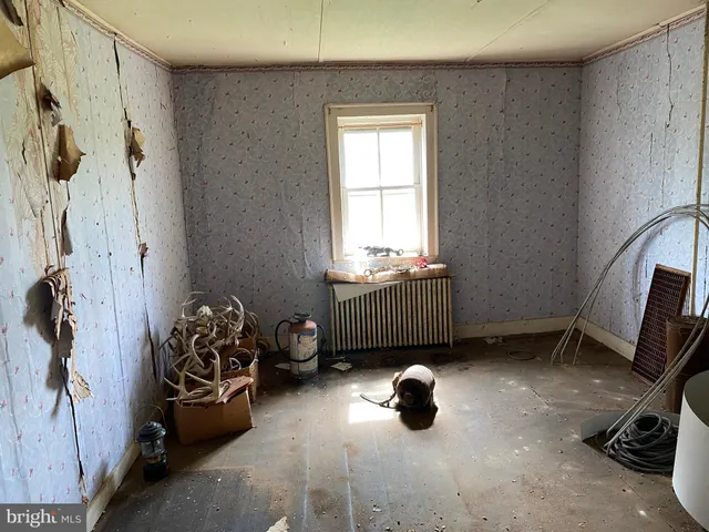 a view of a green field with lots of green space