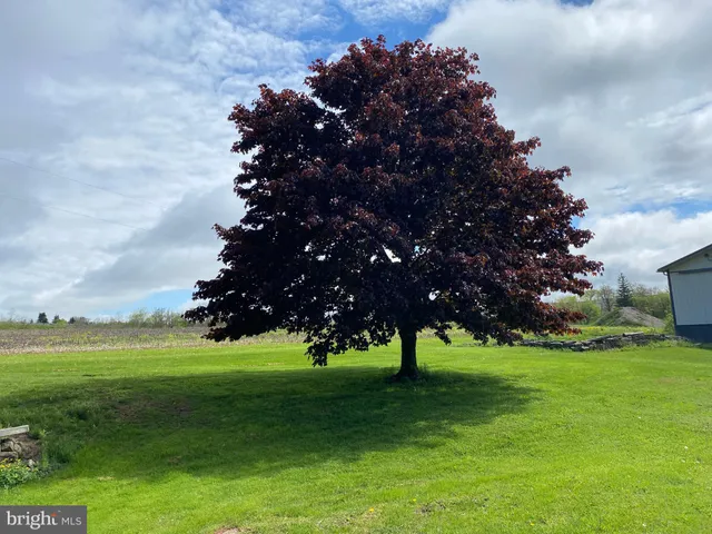 a view of a lake with a mountain in the background
