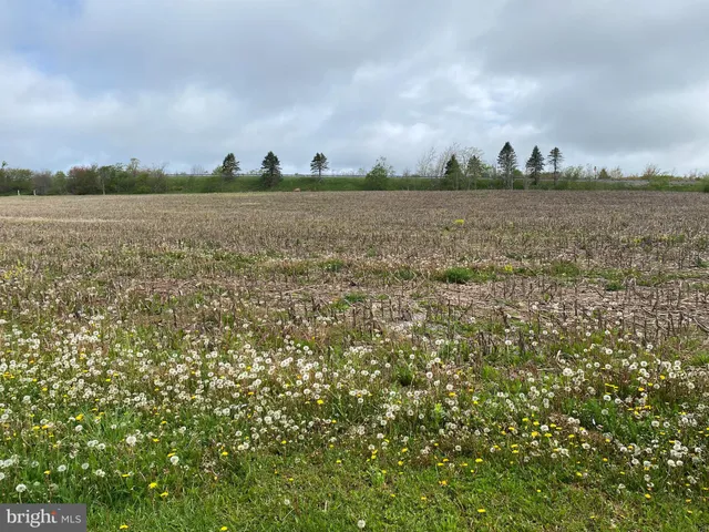 a front view of house with garden