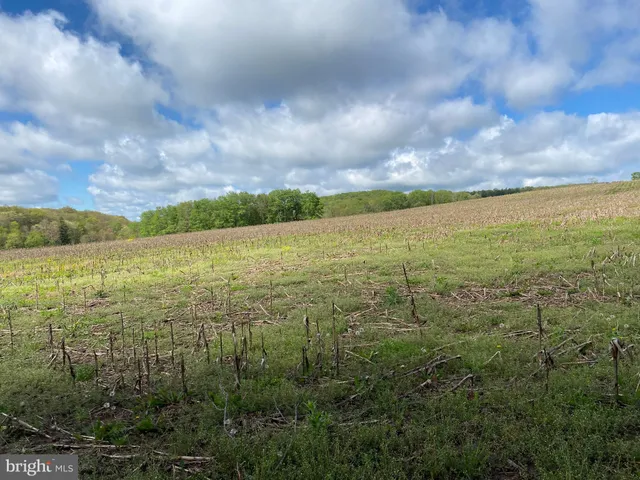 an aerial view of a house with swimming pool garden and trees