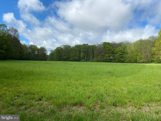 a view of a swimming pool from a outdoor space