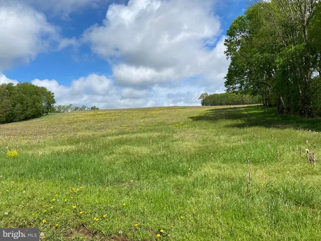 a view of a yard with an outdoor space