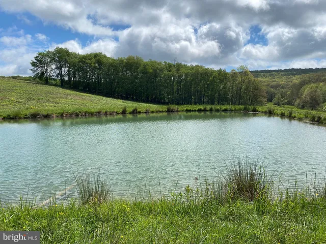 a view of an ocean and beach
