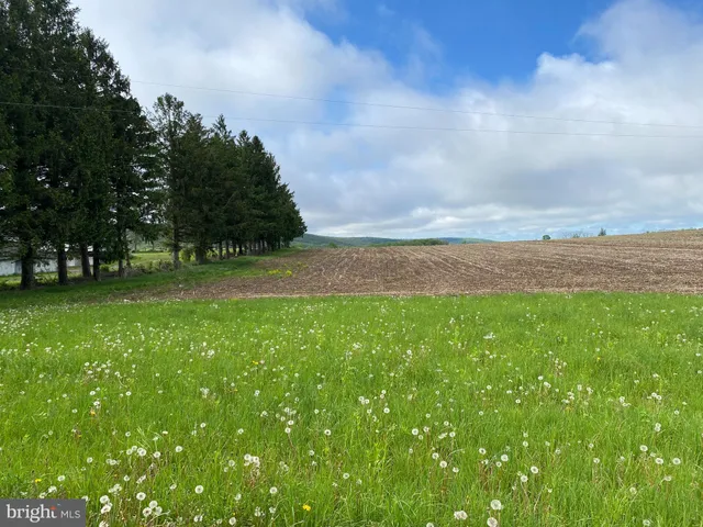 a view of a back yard of the house