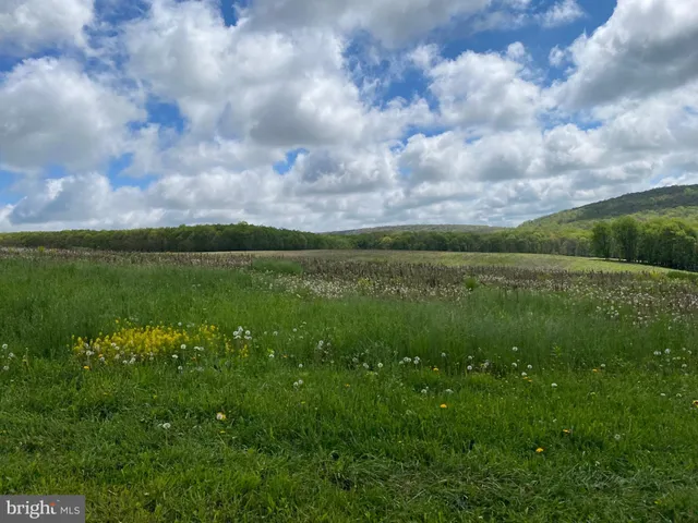 $2,500,000 | 220 Dia School Road, Grantsville, MD 21536