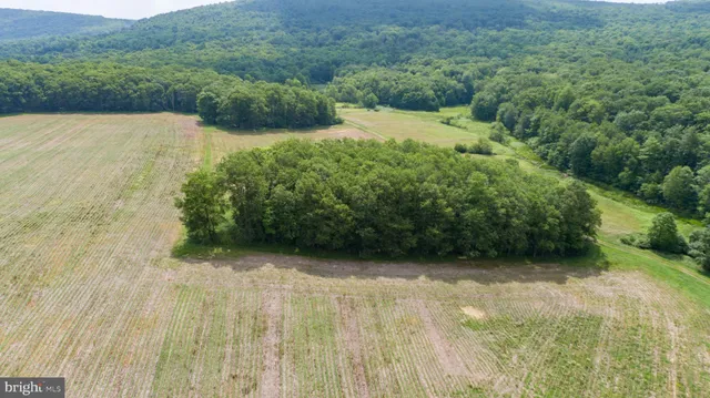 $2,500,000 | 220 Dia School Road, Grantsville, MD 21536