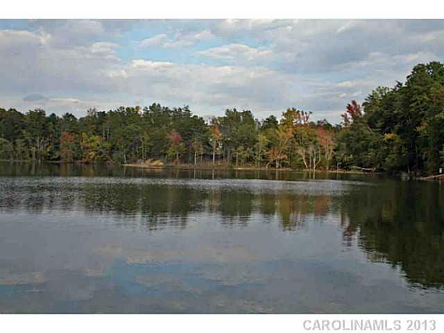 364 Calming Way, Unit LOT 72 Tega Cay, SC 29708 - Photo 5 of 5