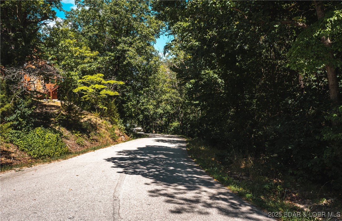 Lake Road Roach, MO 65787 - Photo 13 of 13