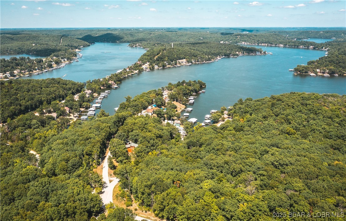 Lake Road Roach, MO 65787 - Photo 4 of 13