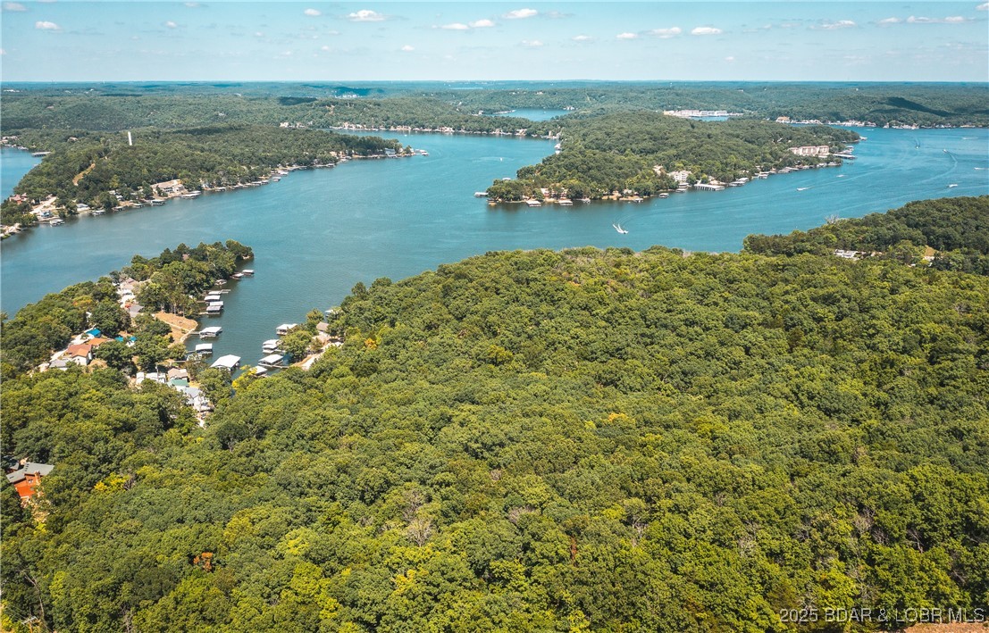 Lake Road Roach, MO 65787 - Photo 5 of 13