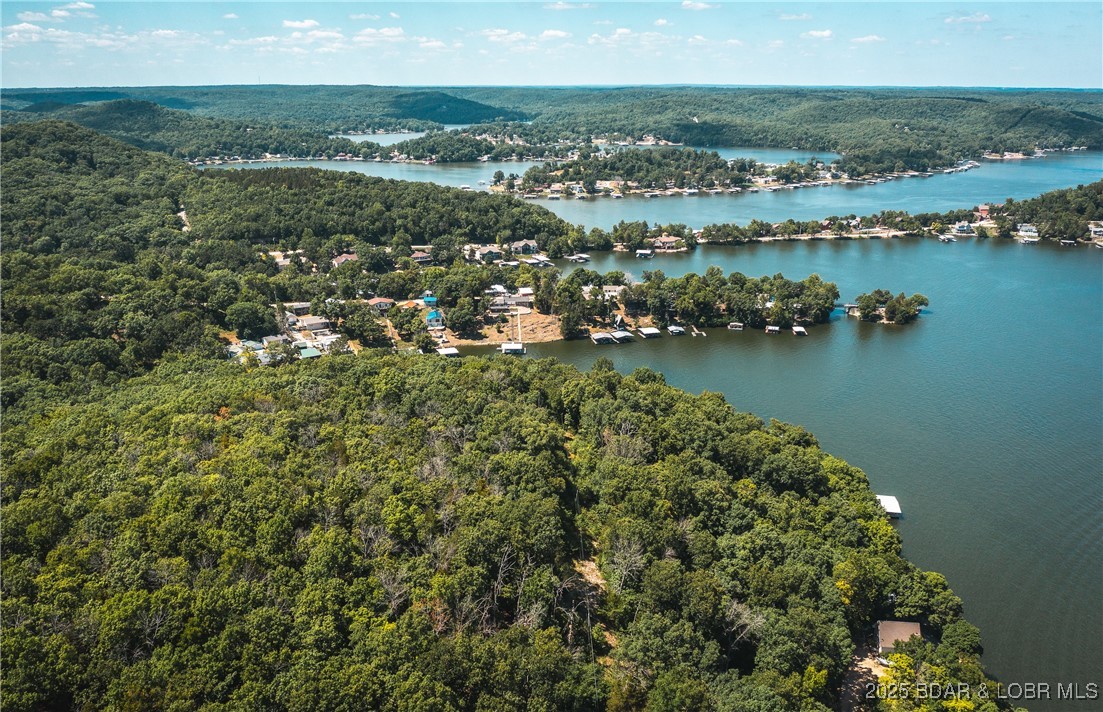 Lake Road Roach, MO 65787 - Photo 8 of 13