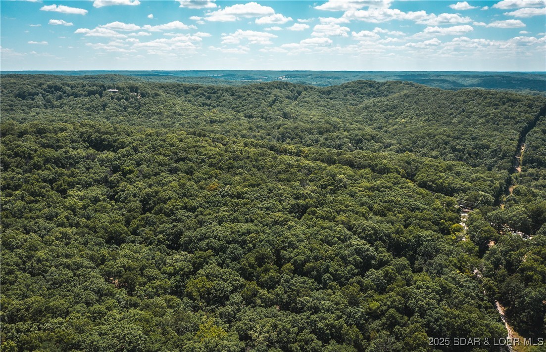 Lake Road Roach, MO 65787 - Photo 10 of 13