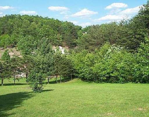 2117 Byrd Road Elliston, VA 24087 - Photo 6 of 6 a view of yard with green space
