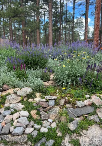 $950,000 | 5313 Maggie Lane, Evergreen, CO 80439