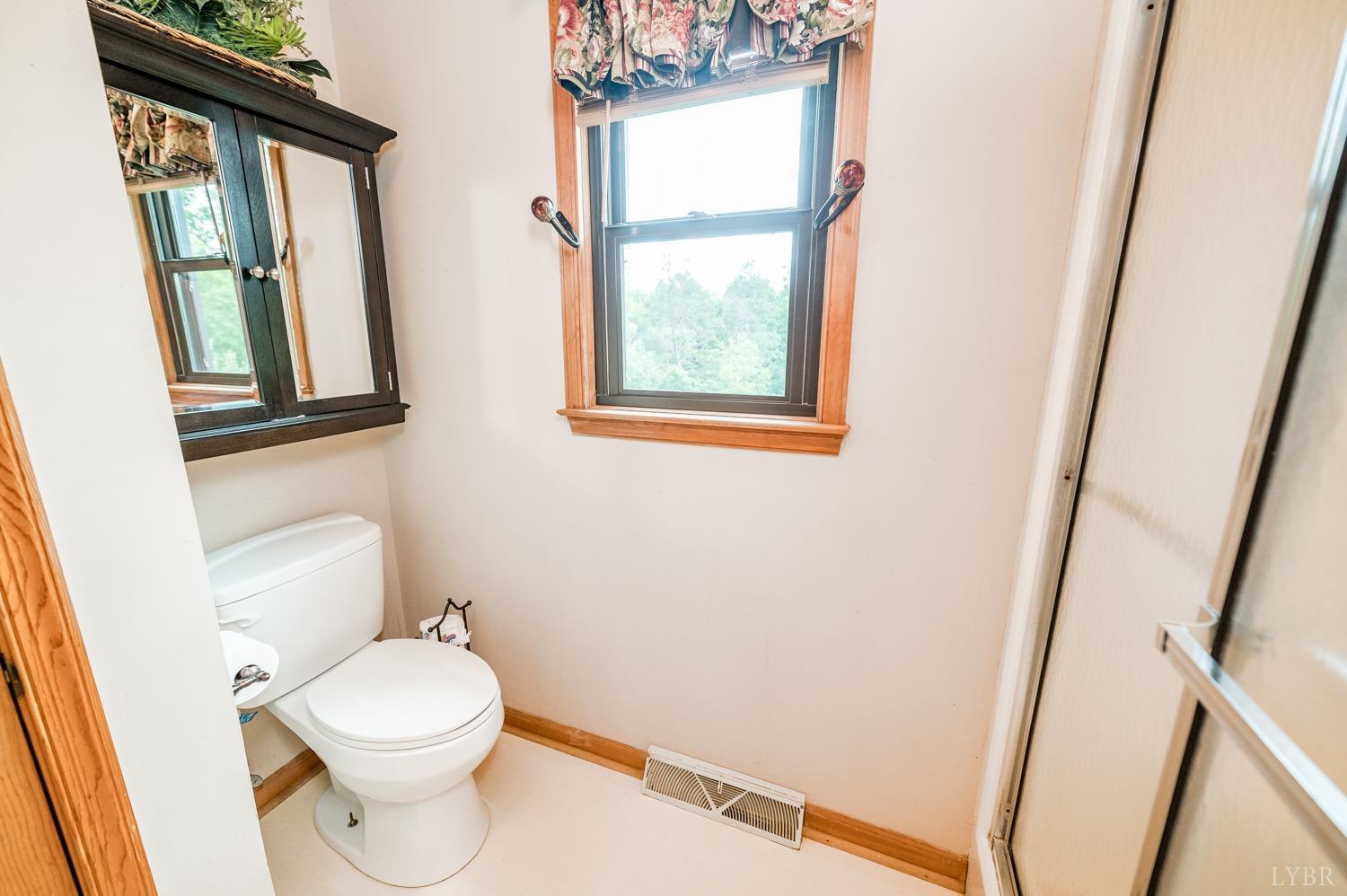 1796 Union Church Road Thaxton, VA 24174 - Photo 51 of 83 a bathroom with a toilet window and a shower
