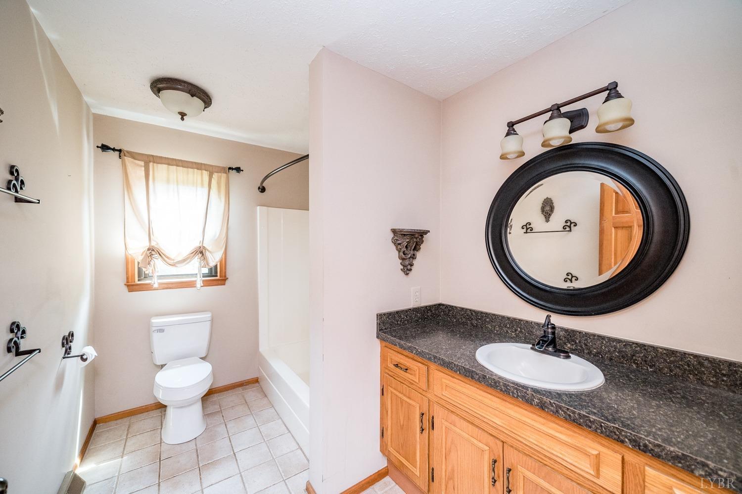 1796 Union Church Road Thaxton, VA 24174 - Photo 60 of 83 a bathroom with a granite countertop toilet a sink and a mirror