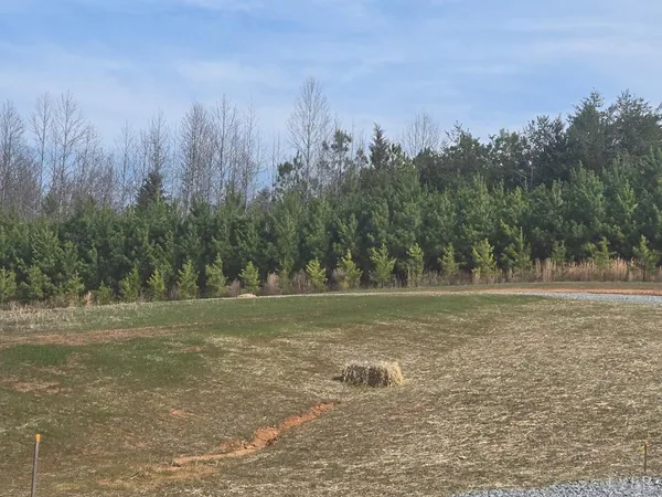 a view of a field with trees in the background
