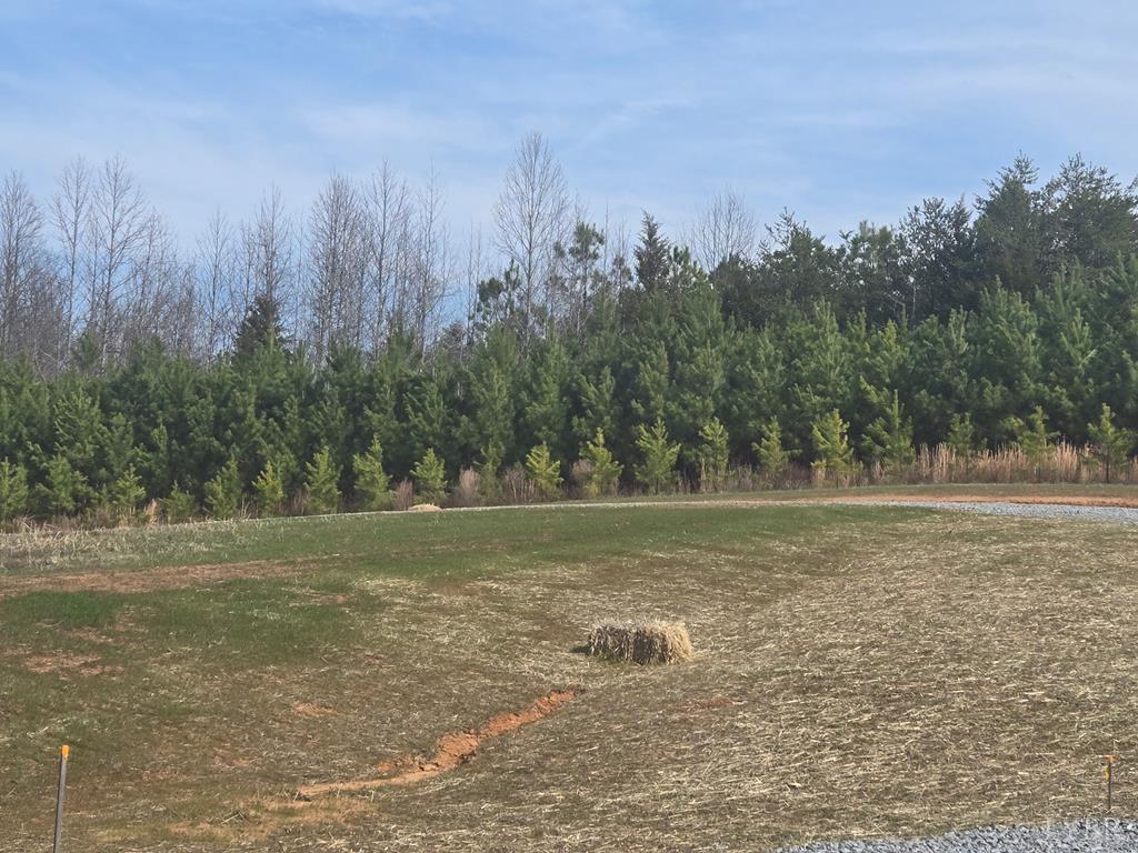 a view of a field with trees in the background
