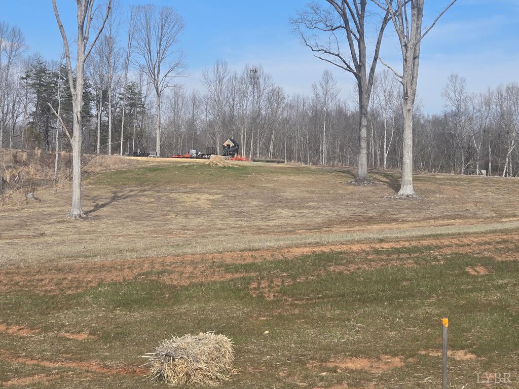 0 Green Bay Road Green Bay, VA 23942 - Photo 13 of 22 a view of outdoor space with trees