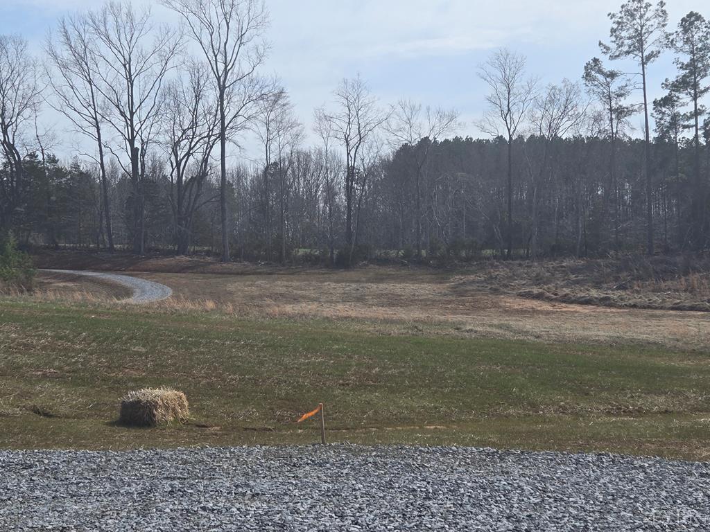 0 Green Bay Road Green Bay, VA 23942 - Photo 14 of 22 a view of a backyard