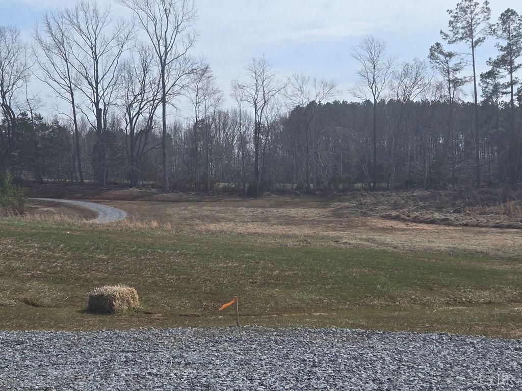 0 Green Bay Road Green Bay, VA 23942 - Photo 16 of 22 a view of a backyard