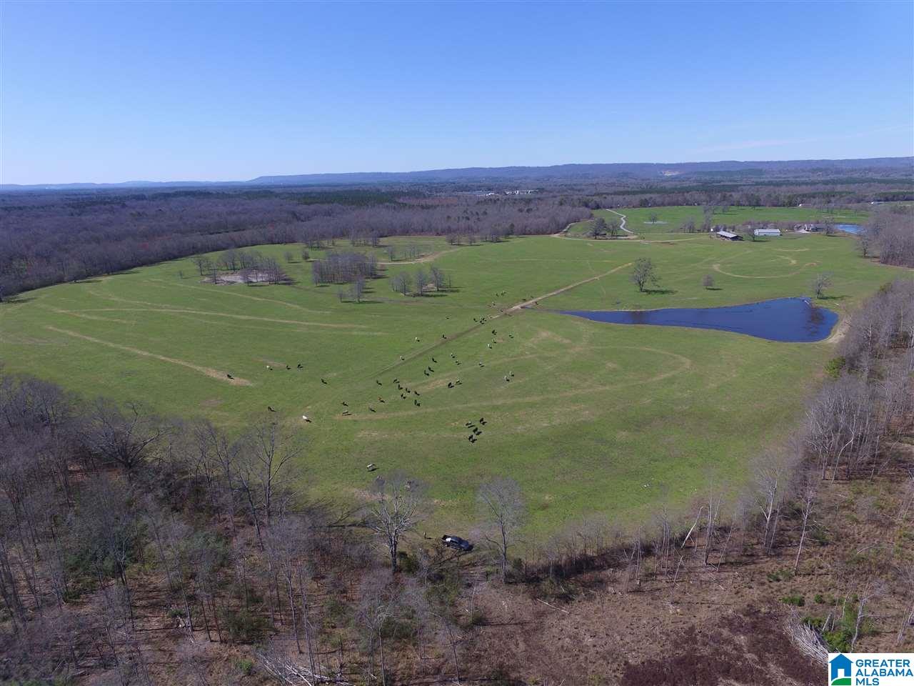 0 Double Bridge Road, Unit 286 Ashville, AL 35953 - Photo 5 of 34
