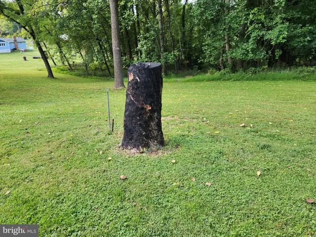 a big yard with lots of green space and trees