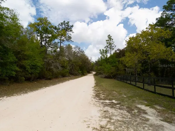 a view of a yard with trees