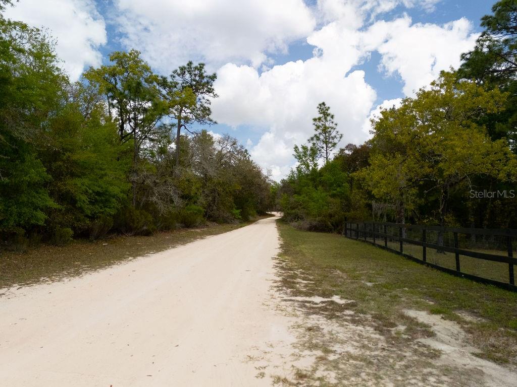 0 Northeast 131st Terrace Bronson, FL 32621 - Photo 11 of 24 a view of a yard with trees